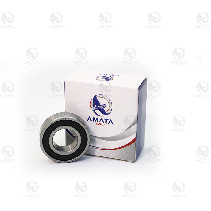 1104003 - بلبرینگ ته شفت دینام پژو405(60032RS)