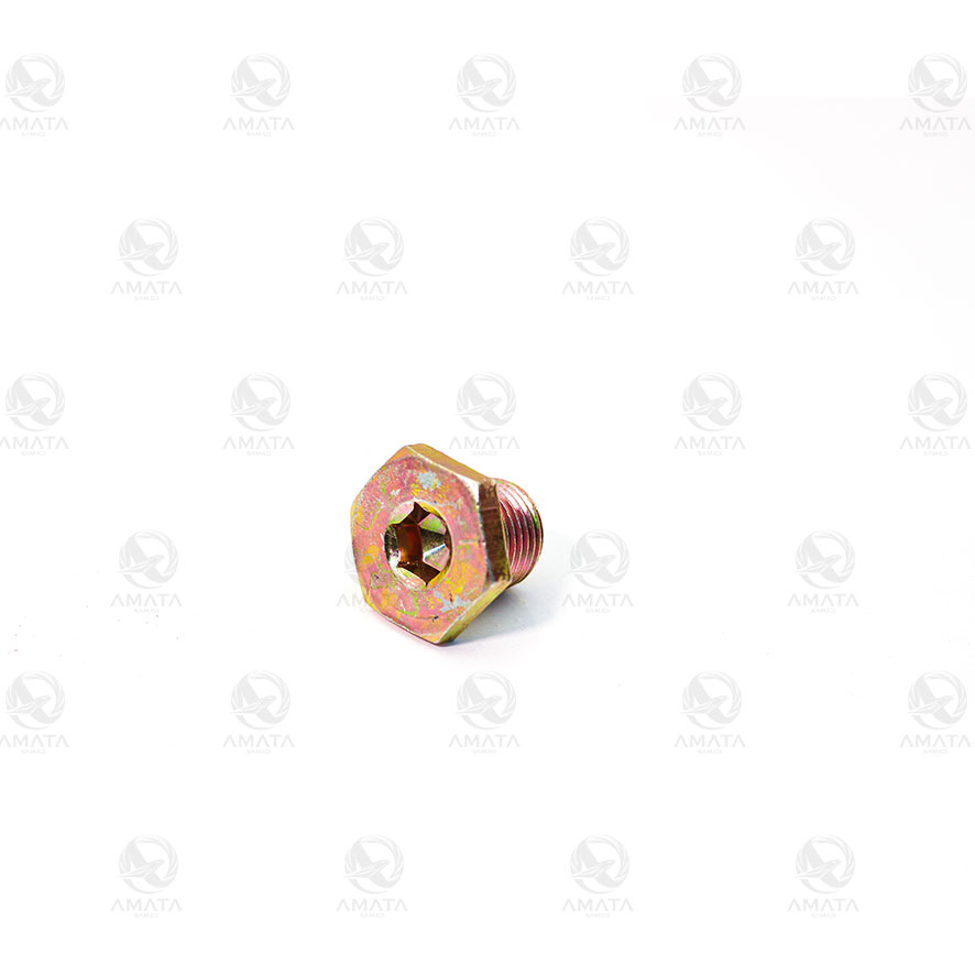 1109010 - پیچ تخلیه روغن پژو405 (کارتل)